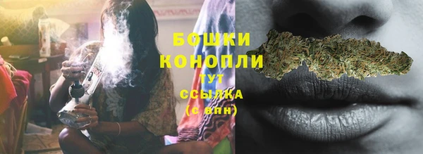 гашик Михайловск