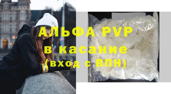 гашик Михайловск