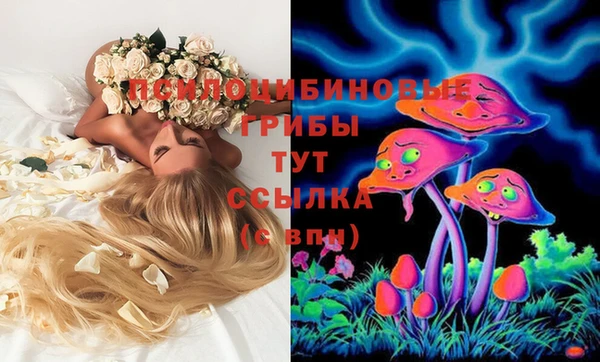 скорость Михайлов