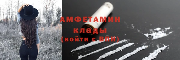 гашик Михайловск