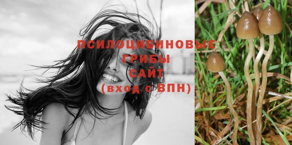 гашик Михайловск
