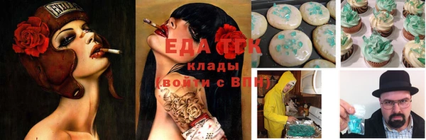 гашик Михайловск